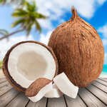 Coconut