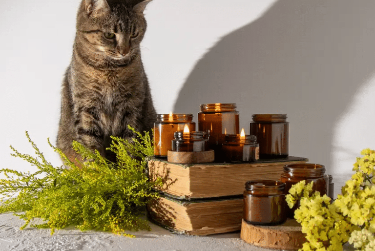 Essential oils in candles safe for cats？