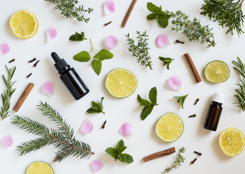 What are the common essential oil scents?